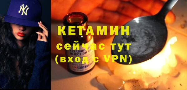 прущие грибы Няндома