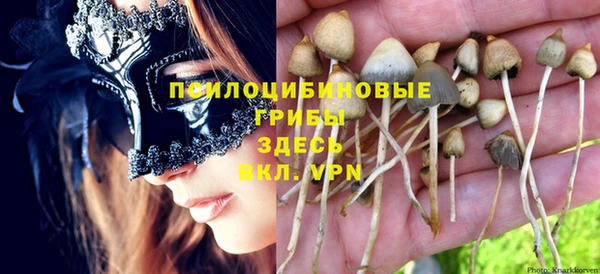 скорость Нязепетровск