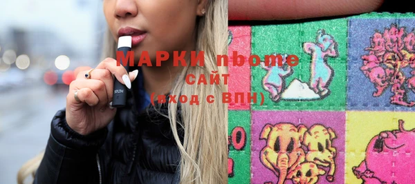 прущие грибы Няндома