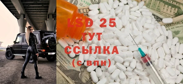 прущие грибы Няндома