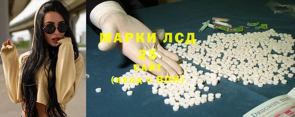 прущие грибы Няндома