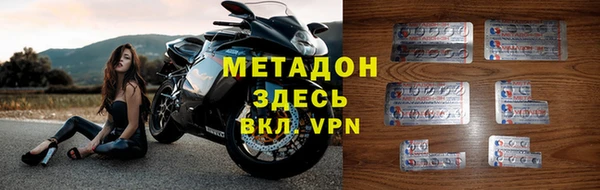 прущие грибы Няндома