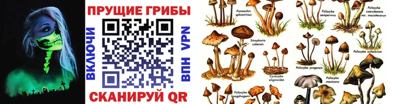 Галлюциногенные грибы мухоморы  наркотики  Югорск 