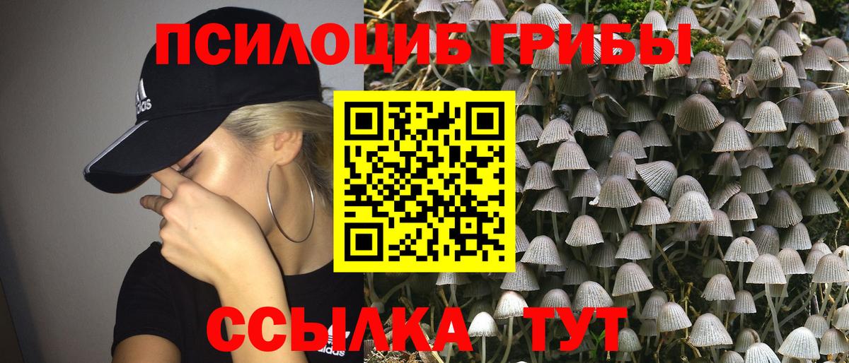 Галлюциногенные грибы ЛСД  Вход с VPN  Югорск  Псилоцибиновые грибы GOLDEN TEACHER 